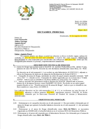 Informe Forense, Dictamen Pericial