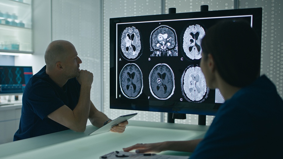 El neuropsicólogo es el especialista en la relación entre el sistema nervioso y el comportamiento humano
