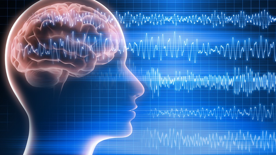 Un informe de neuropsicolog&iacute;a debe seguir un orden l&oacute;gico para que cualquier otro profesional de la salud entienda el caso sin haber estado presente en las sesiones