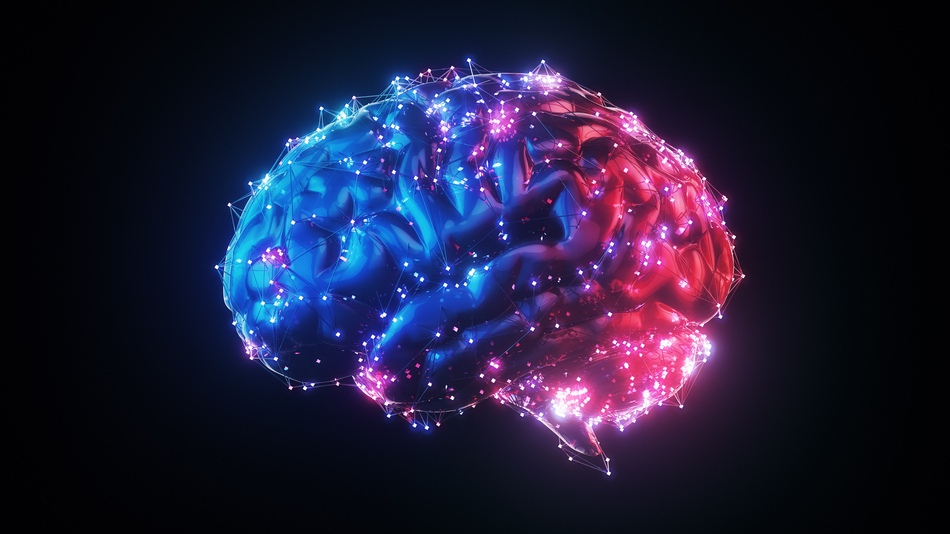 Las pruebas neuropsicológicas son evaluaciones clínicas estandarizadas que permiten ver el funcionamiento del cerebro