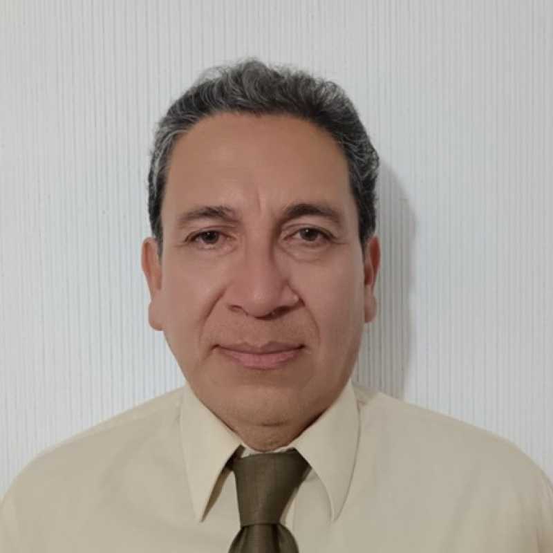 Alvaro Guillermo Solano Ponciano, Docente UNIR