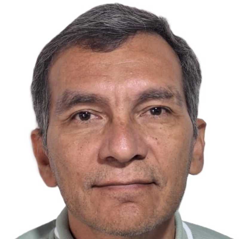 Eldin Osvaldo Castellanos Manzo, Docente UNIR