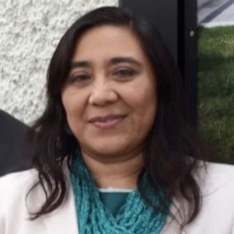 Magally Martínez Reyes, Experta asociada