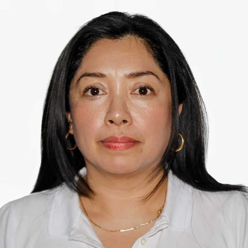 Mayly Allely Gomez Herrera, Docente UNIR