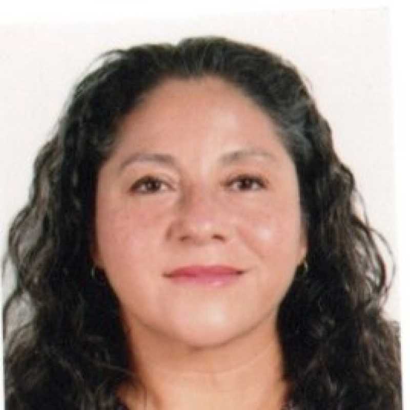 Mildred Carmina López Orizabal, Docente UNIR